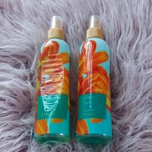 💝💝💝HEALING WATERS